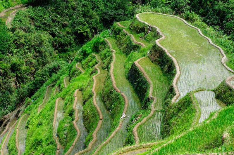 Banaue Rice Terraces in Ifugao Province Philippines