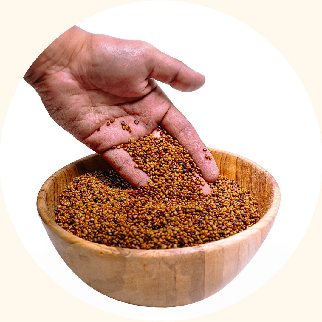 Calopogonium mucunoides (CM)