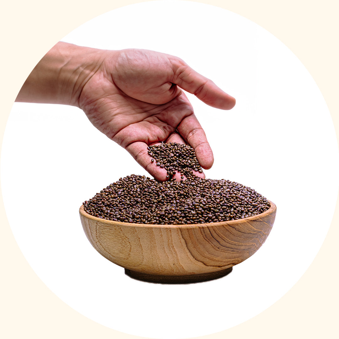 Centrosema pubescens (CP)