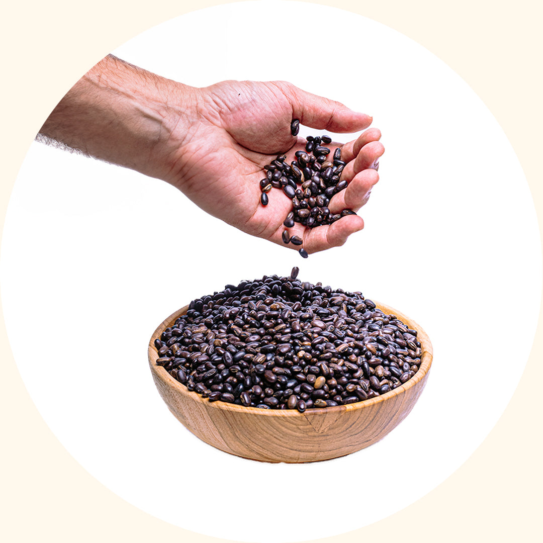 Mucuna bracteata (MB)