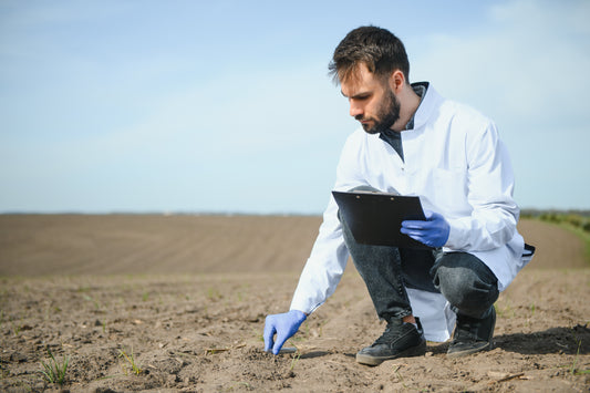 Agronomist examining a soil sample in the field