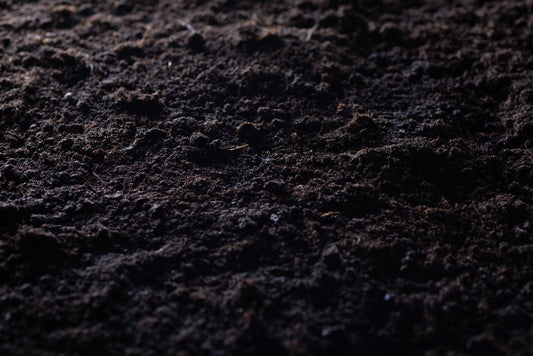 Dark humus-rich soil with fine crumb structure, illustrating SoilBoost EA soil conditioning