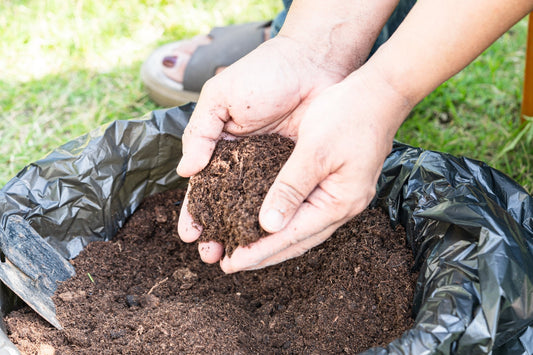 Organic matter held in hands, illustrating organic-certified soil inputs for cover crop systems