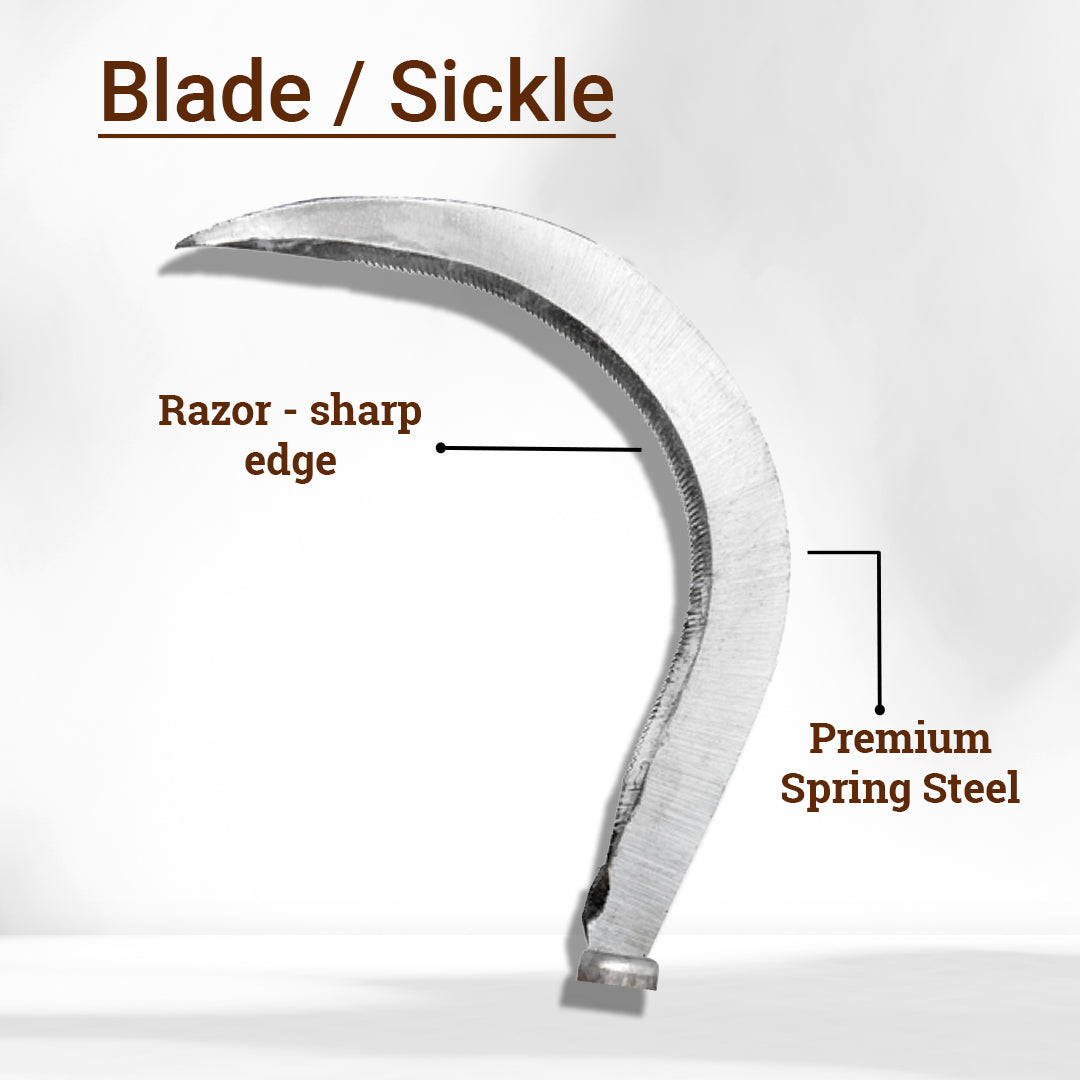 Sharp curved steel sickle blade of the oil palm harvesting pole