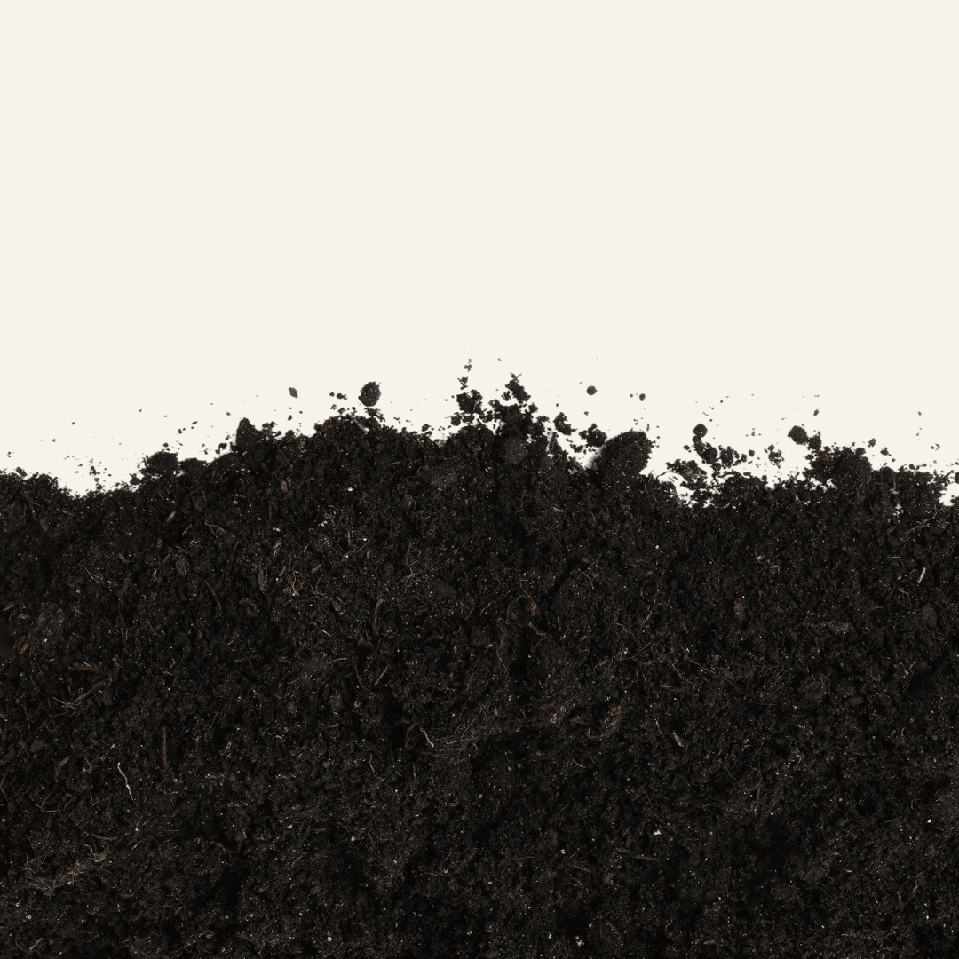 Hyacinth Plus organic soil amendment and plant supplement product label