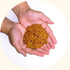 Calopogonium mucunoides dense ground coverage