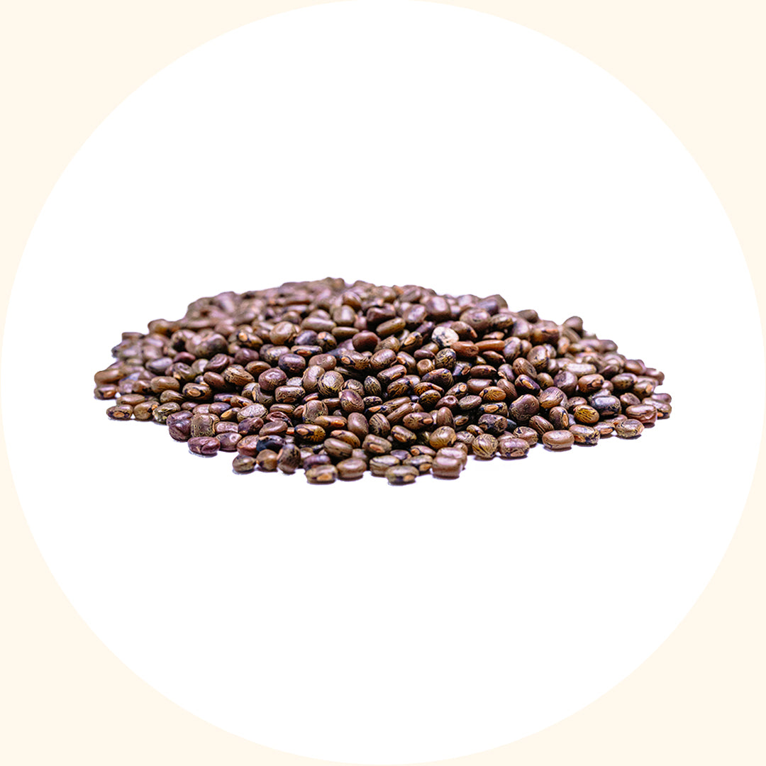 Centrosema pubescens (CP)