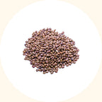 Centrosema pubescens erosion control application