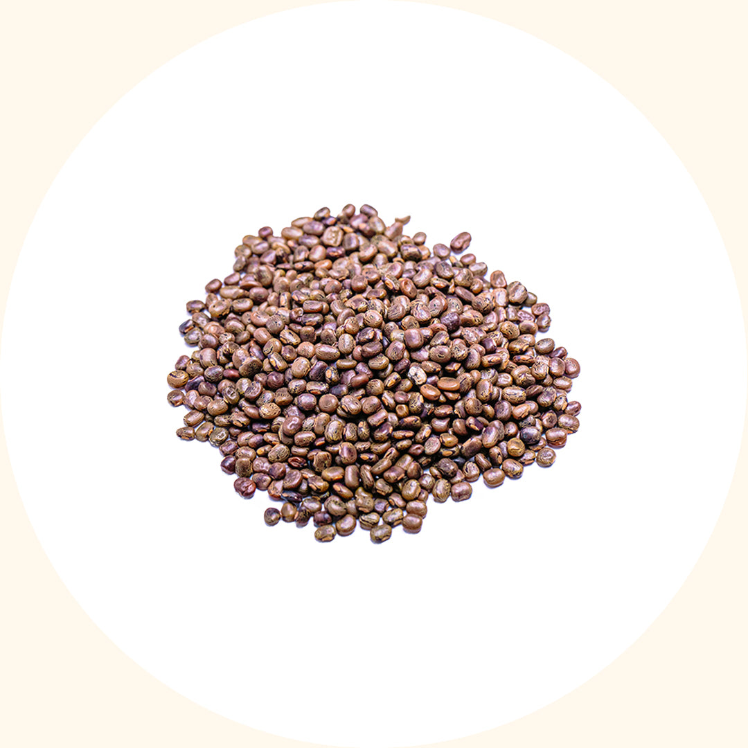 Centrosema pubescens (CP)