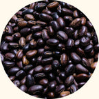 Mucuna bracteata cover crop seeds by KudzuSeeds