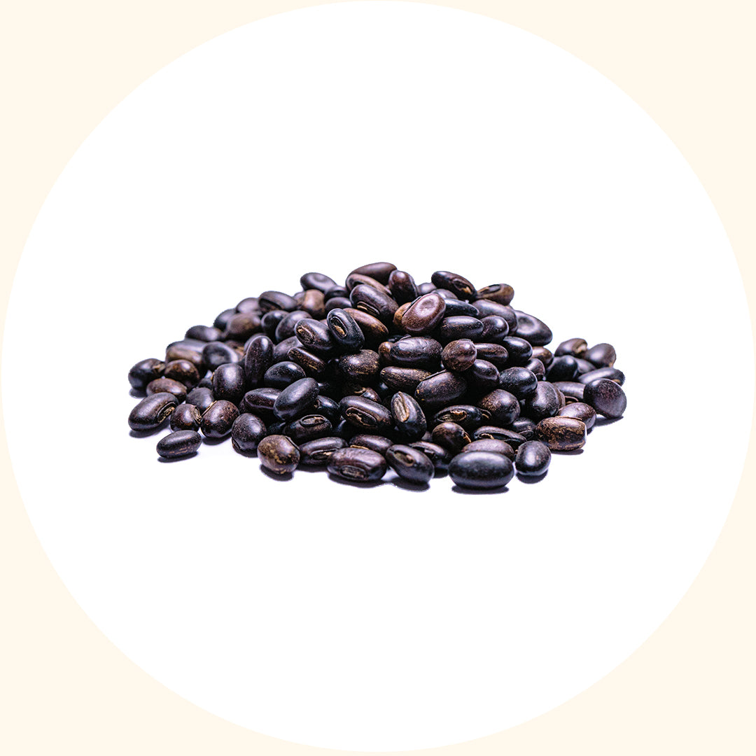 Mucuna bracteata (MB)