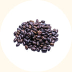 Mucuna bracteata rapid soil coverage