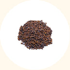 Pueraria javanica established plantation ground cover