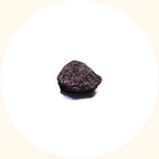 SoilBoost EA humic acid soil conditioner by KudzuSeeds