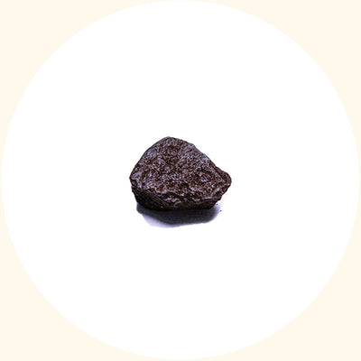 SoilBoost EA humic acid soil conditioner by KudzuSeeds