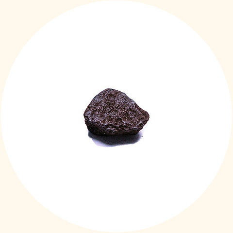 SoilBoost EA humic acid soil conditioner by KudzuSeeds