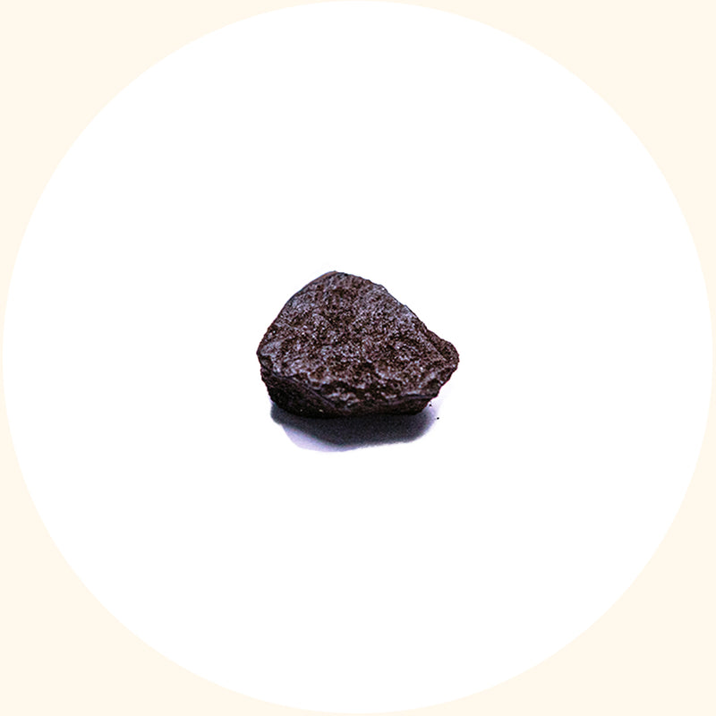 SoilBoost EA humic acid soil conditioner by KudzuSeeds