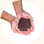 SoilBoost EA field application in Philippine agriculture