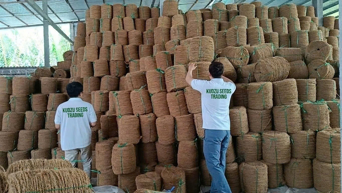 Stock ng pinilipit na coir yarn na ginagamit sa paghabi ng coconet, kasama ang staff ng Kudzu Seeds Trading