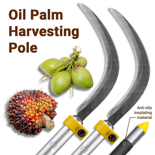 Oil palm harvesting pole from Kudzu Seeds Trading: curved steel sickles on aluminium poles with the anti-slip insulating material on the grip labelled, shown with an oil palm fruit bunch and young coconuts