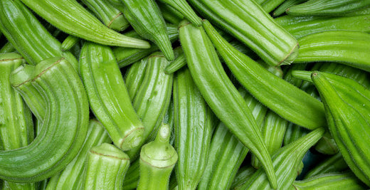 Freshly harvested smooth, deep green okra pods