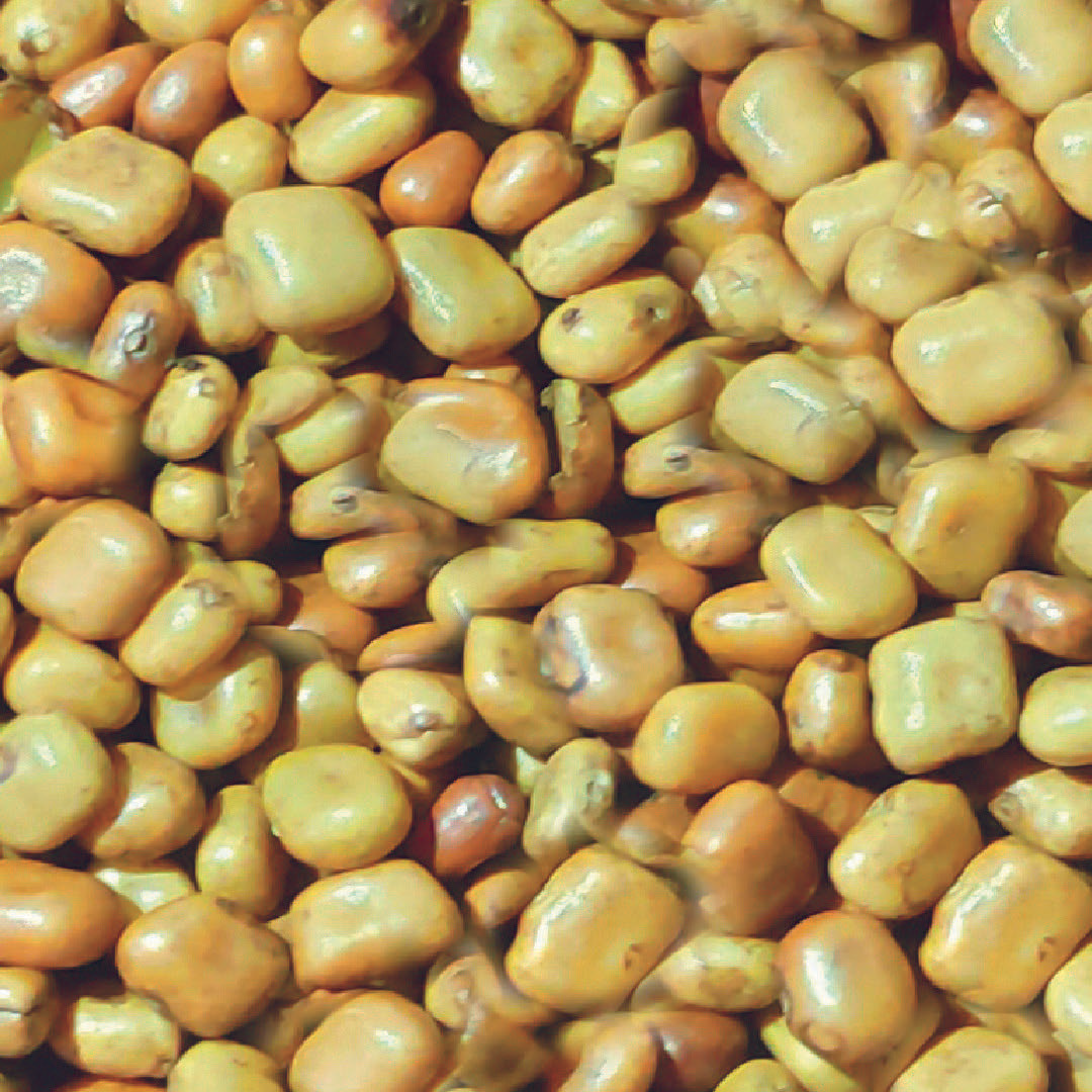 Cover Crop Seeds Kudzuseeds