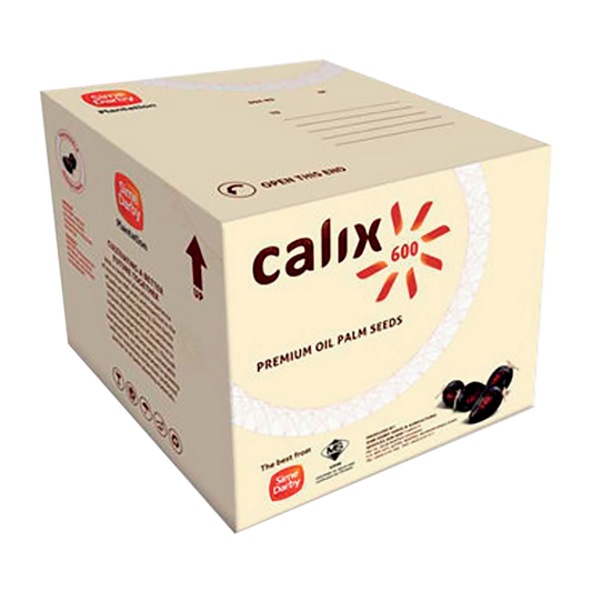CALIX 600