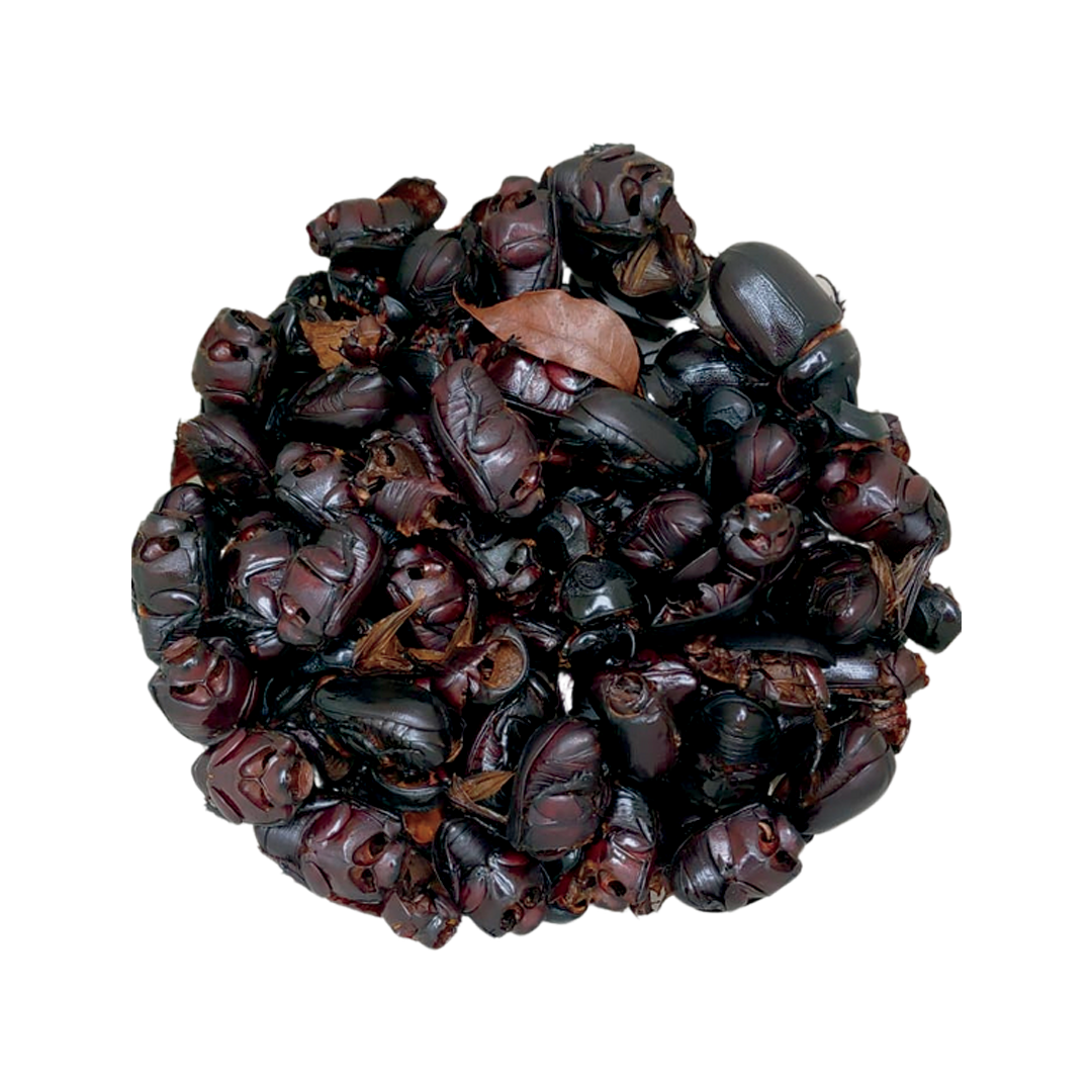 Kudzu RB Lure Kudzuseeds